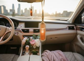 ✨ ARTEMIS ✨ Bohyně lovu. Divoké přírody. Měsíce. 🌙 A teď i vůně ve vašem autě 🚗💨 Ovocná exploze černého rybízu a lesních...